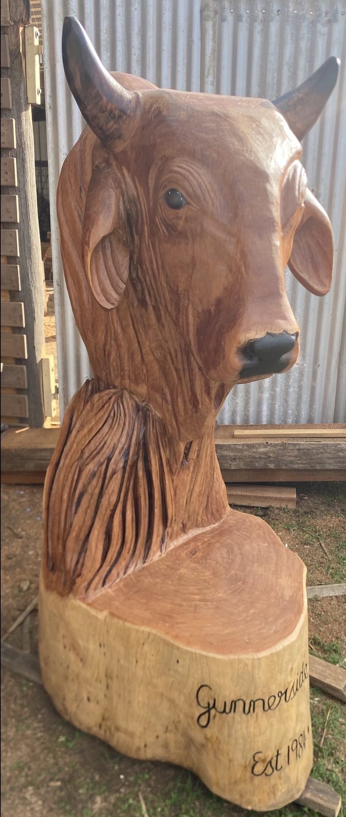 Chainsaw-carved Brahman bull bust by Cossy's Chainsaw Artistry