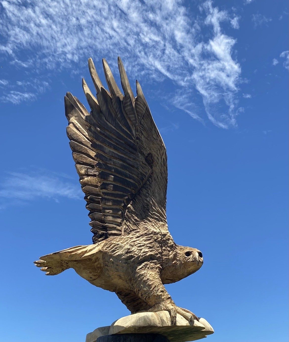 Chainsaw-carved eagle in flight from locally sourced timber