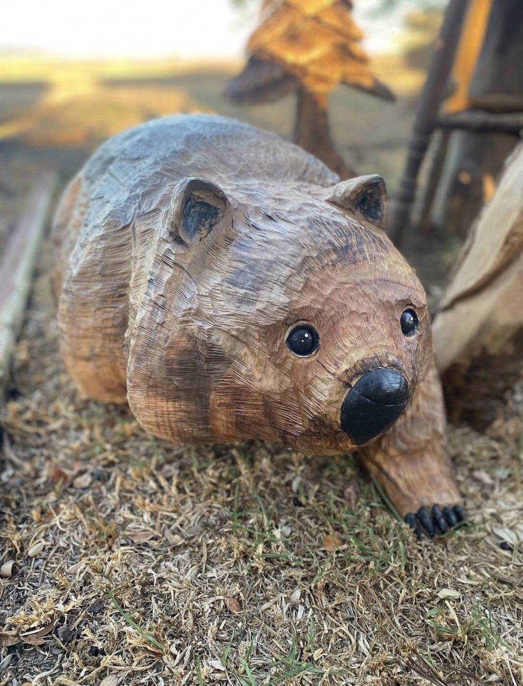 Chainsaw-carved wombat in natural timber