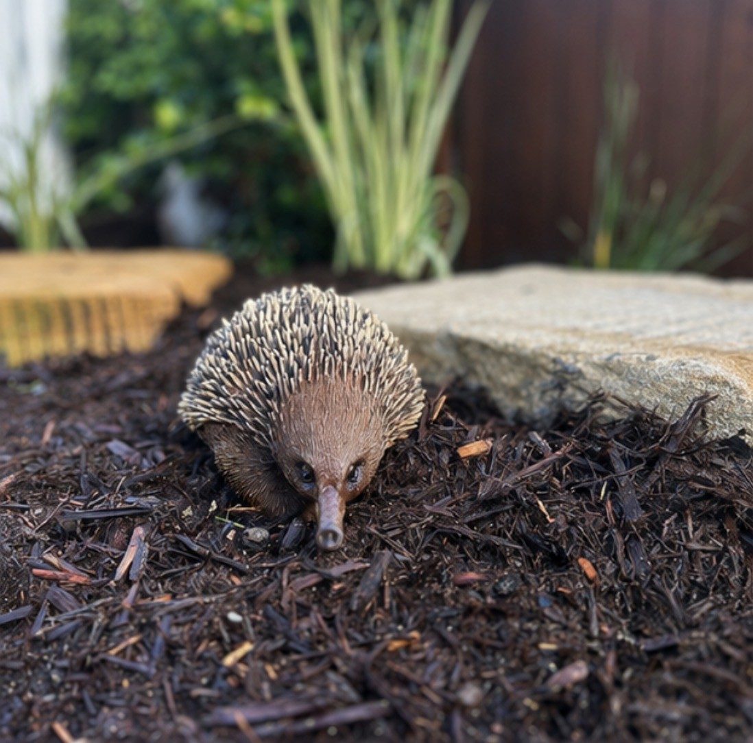 Nature play detail with echidna sculpture in mulched garden bed